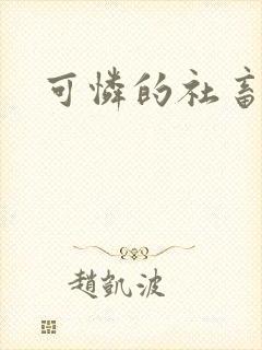 可怜的社畜小说