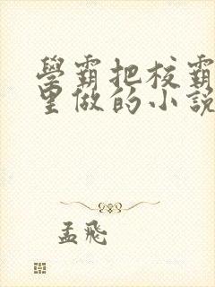 学霸把校霸往死里做的小说封面