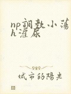 np调教小荡货h灌尿