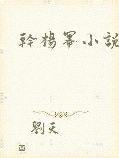 干杨幂小说封面