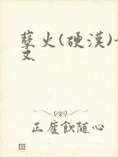 孽火(硬汉)今又