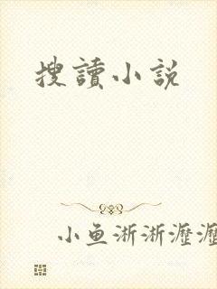 搜读小说