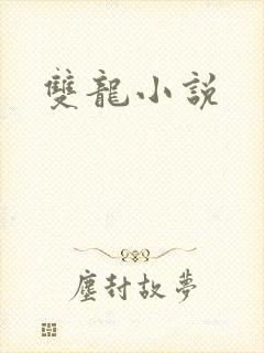 双龙小说