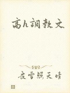 高h调教文