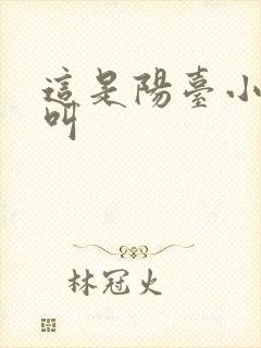 这是阳台小点声叫封面