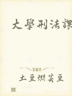 大学刑法课
