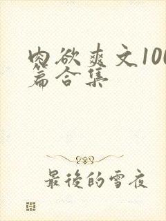 肉欲爽文100篇合集封面