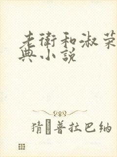 老卫和淑荣的经典小说
