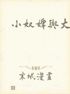 小奴婢与大少爷