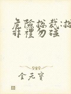 危险总裁:总裁非礼勿碰