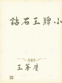 钻石王牌小说