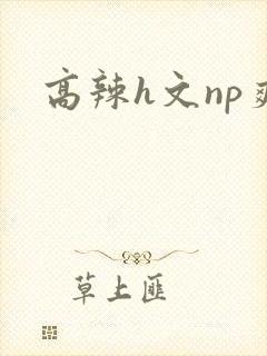 高辣h文np爽