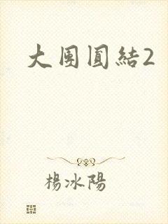 大团圆结2封面