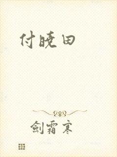 付晓田封面
