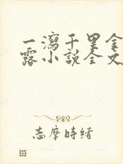 一泻千里金银花露小说全文免费阅读封面