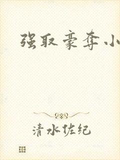 强取豪夺小说