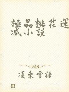 极品桃花运未删减小说