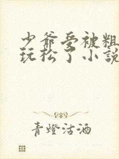 少爷受被粗汉H玩松了小说