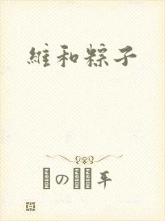 维和粽子