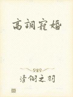 高调宠婚