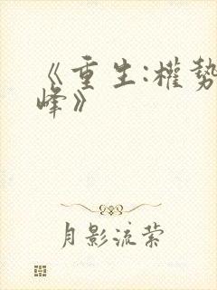 《重生:权势巅峰》