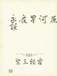 永夜星河原著小说封面