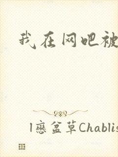 我在网吧被黑人封面