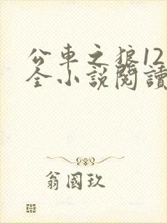 公车之狼12集全小说阅读