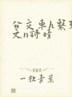 公交车h系列辣文n诗晴