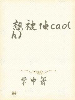 想被他cao(h)