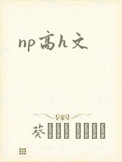 np高h文