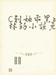 C到她乖黑暗森林的小说免费封面