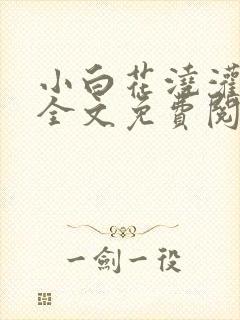 小白花浇灌日常全文免费阅读