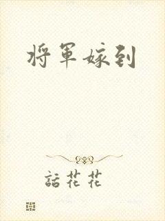 将军嫁到