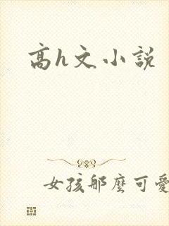 高h文小说封面