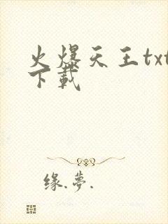 火爆天王txt下载