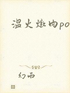 温火炖肉pop