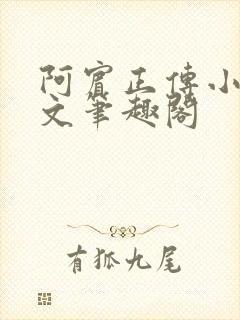 阿宾正传小说全文笔趣阁