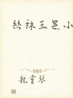 丝袜玉足小说
