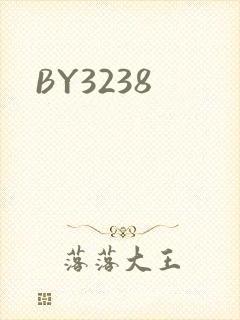 BY3238封面