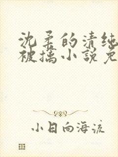 沈柔的清纯校花被擒小说免费阅读