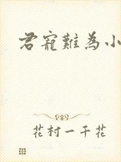 君宠难为小说