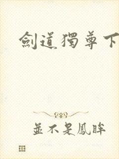 剑道独尊下载