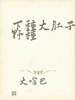 下种大肚子怀孕野种