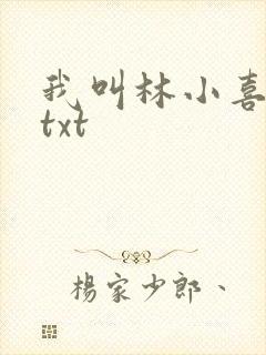 我叫林小喜小说txt封面