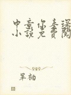 中意你秦琛苏沫小说免费阅读封面
