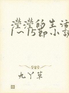 滢滢的生活日记1~15节小说