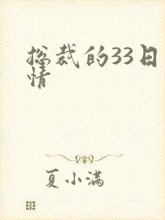 总裁的33日索情封面