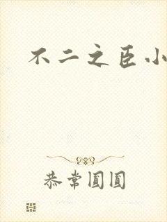 不二之臣小说