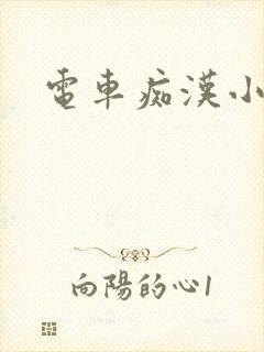 电车痴汉小说